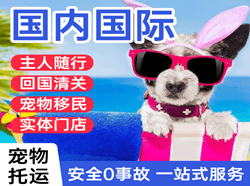 无锡硕放空运地址国际宠物托运 【国